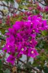 eoliegam_20230430_021_small.jpg