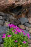 eoliegam_20230501_034_small.jpg