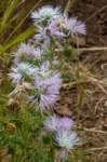 eoliegam_20230501_073_small.jpg
