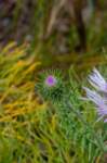 eoliegam_20230501_075_small.jpg