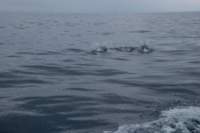 eoliegam_20230501_080_small.jpg