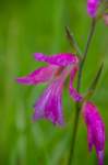 eoliegam_20230503_135_small.jpg