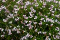 eoliegam_20230503_136_small.jpg