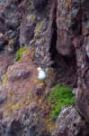eoliegam_20230503_147_small.jpg