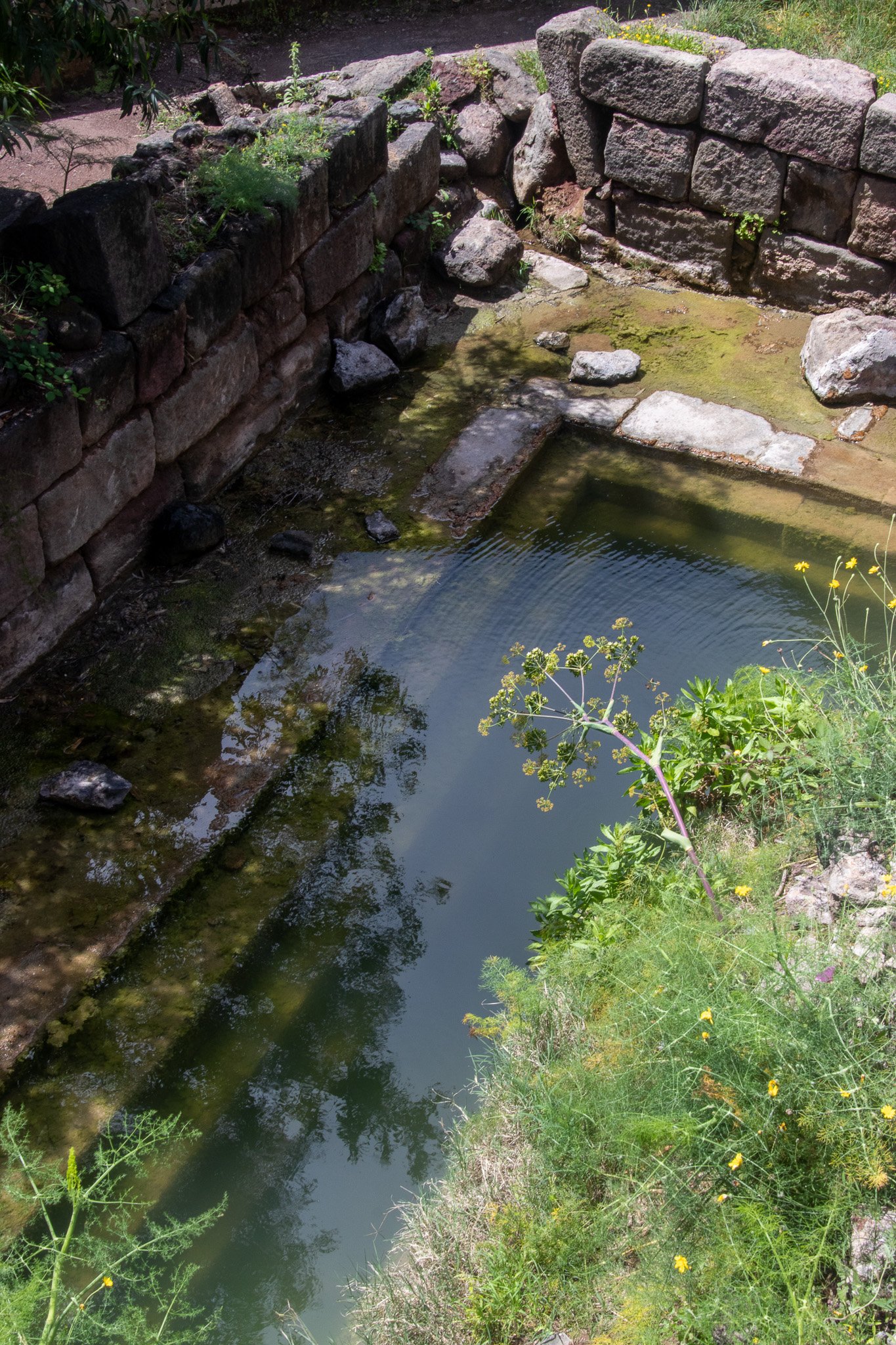 eoliegam_20230503_158.jpg