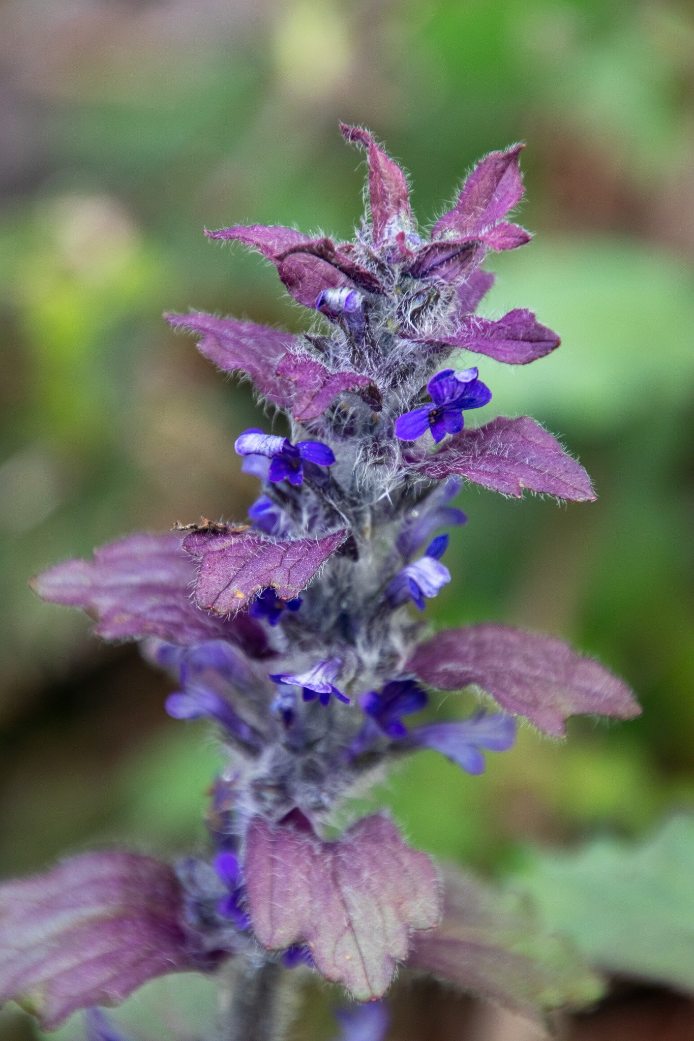 eoliegam_20230504_221.jpg