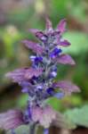 eoliegam_20230504_221_small.jpg