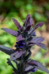 eoliegam_20230504_222_small.jpg