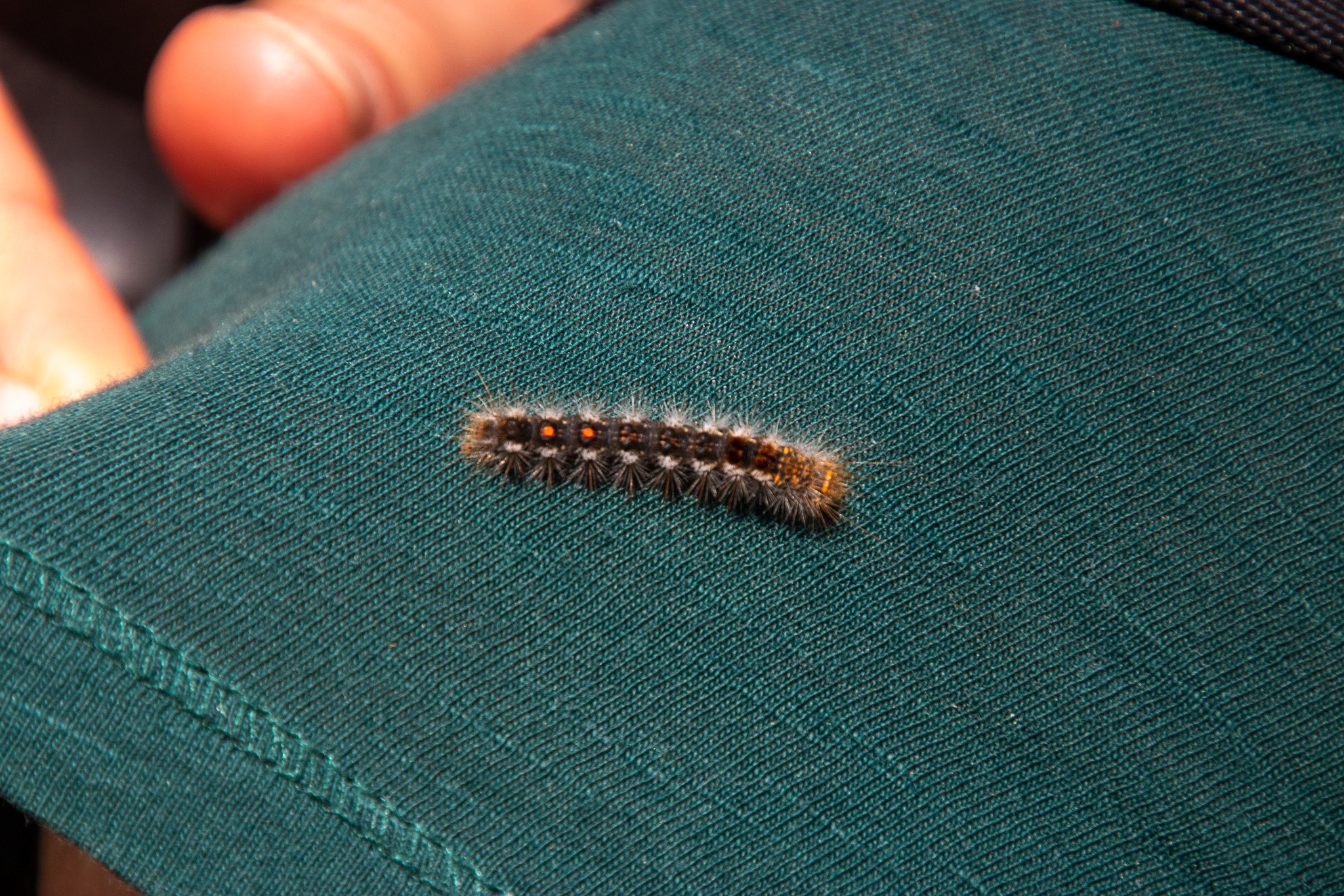 eoliegam_20230504_225.jpg