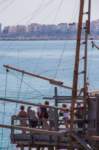 gargtrem158_small.jpg