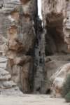 img_8161_small.jpg