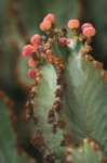img_9227_small.jpg