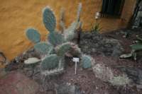 img_9238_small.jpg