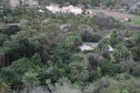 img_9317_small.jpg