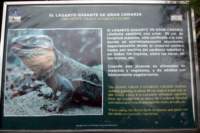 img_9320_small.jpg