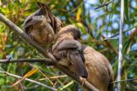 _india_18nov2023_bandhavgarh59_small.jpg