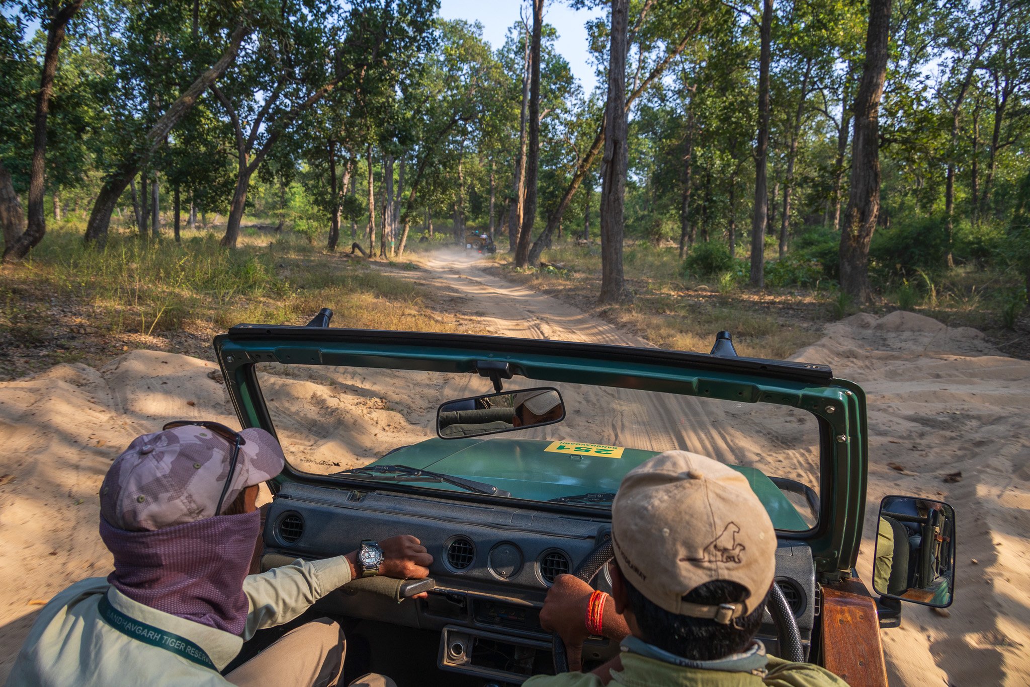 _india_18nov2023_bandhavgarh68.jpg