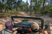 _india_18nov2023_bandhavgarh68_small.jpg