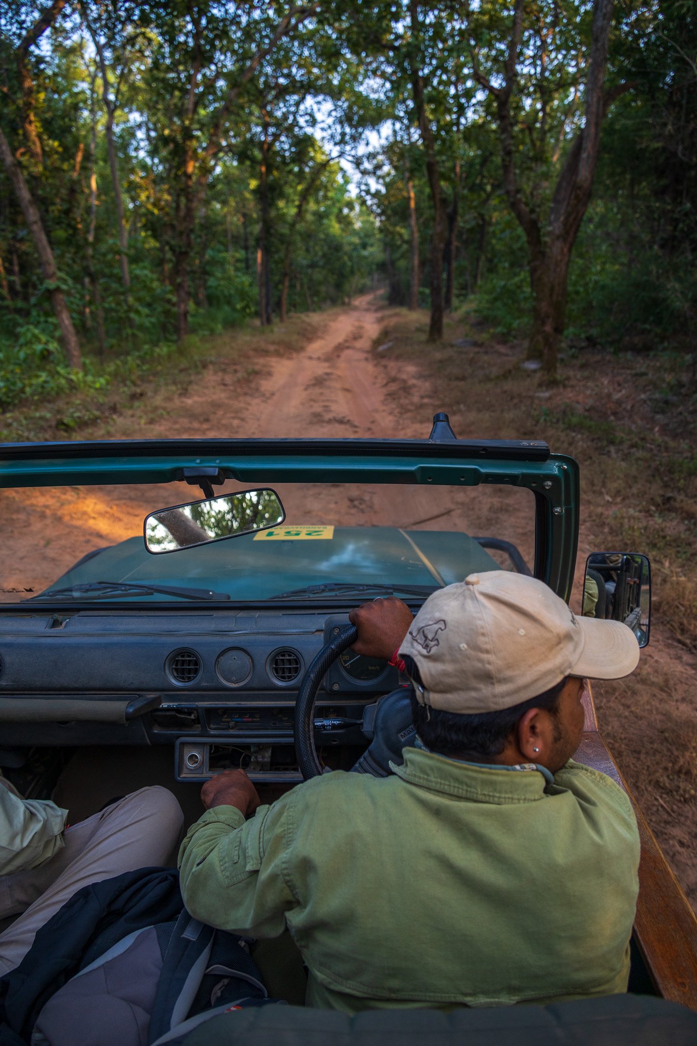 _india_18nov2023_bandhavgarh75.jpg