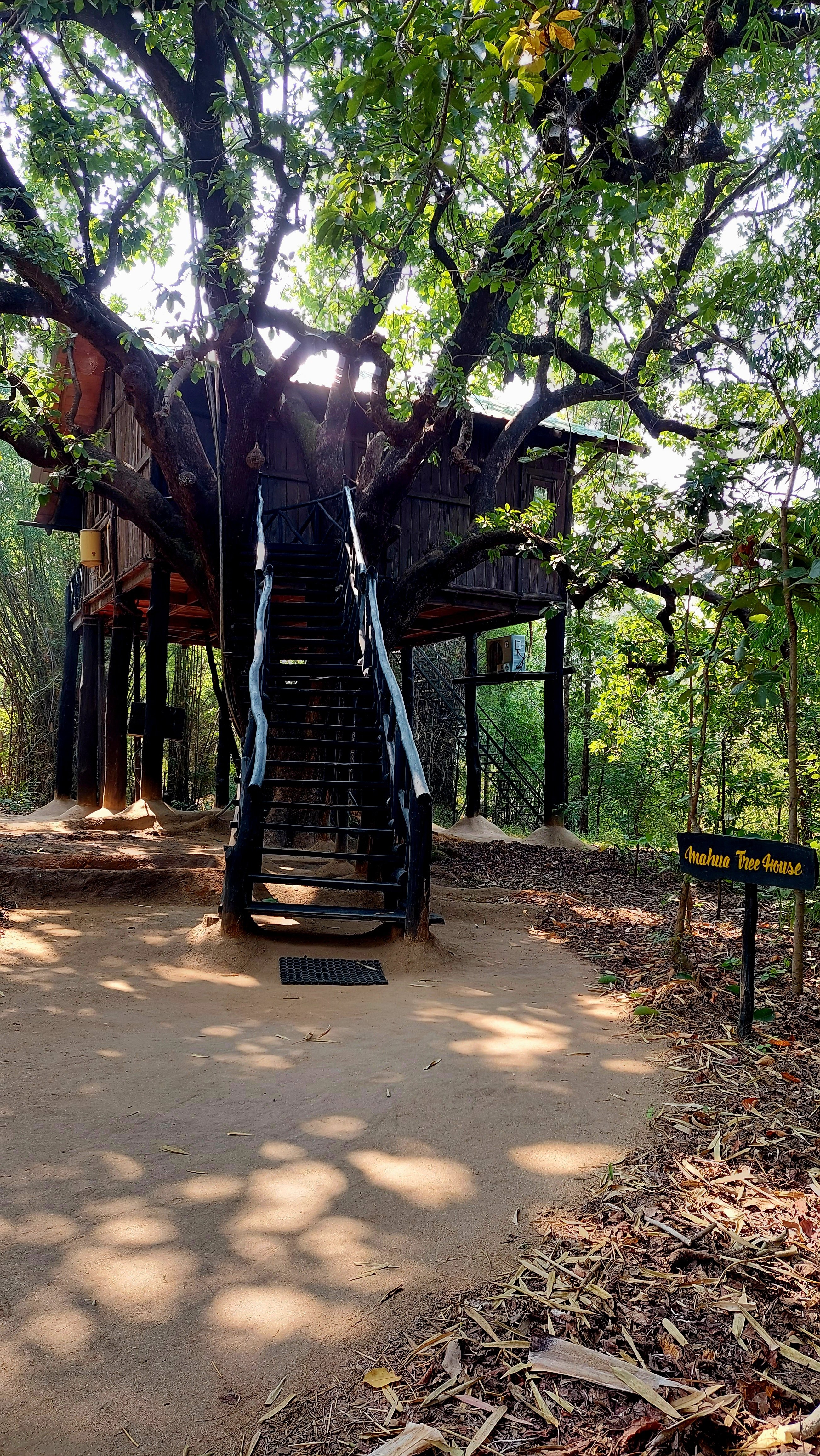 a_india_18nov2023_bandhavgarh3.jpg