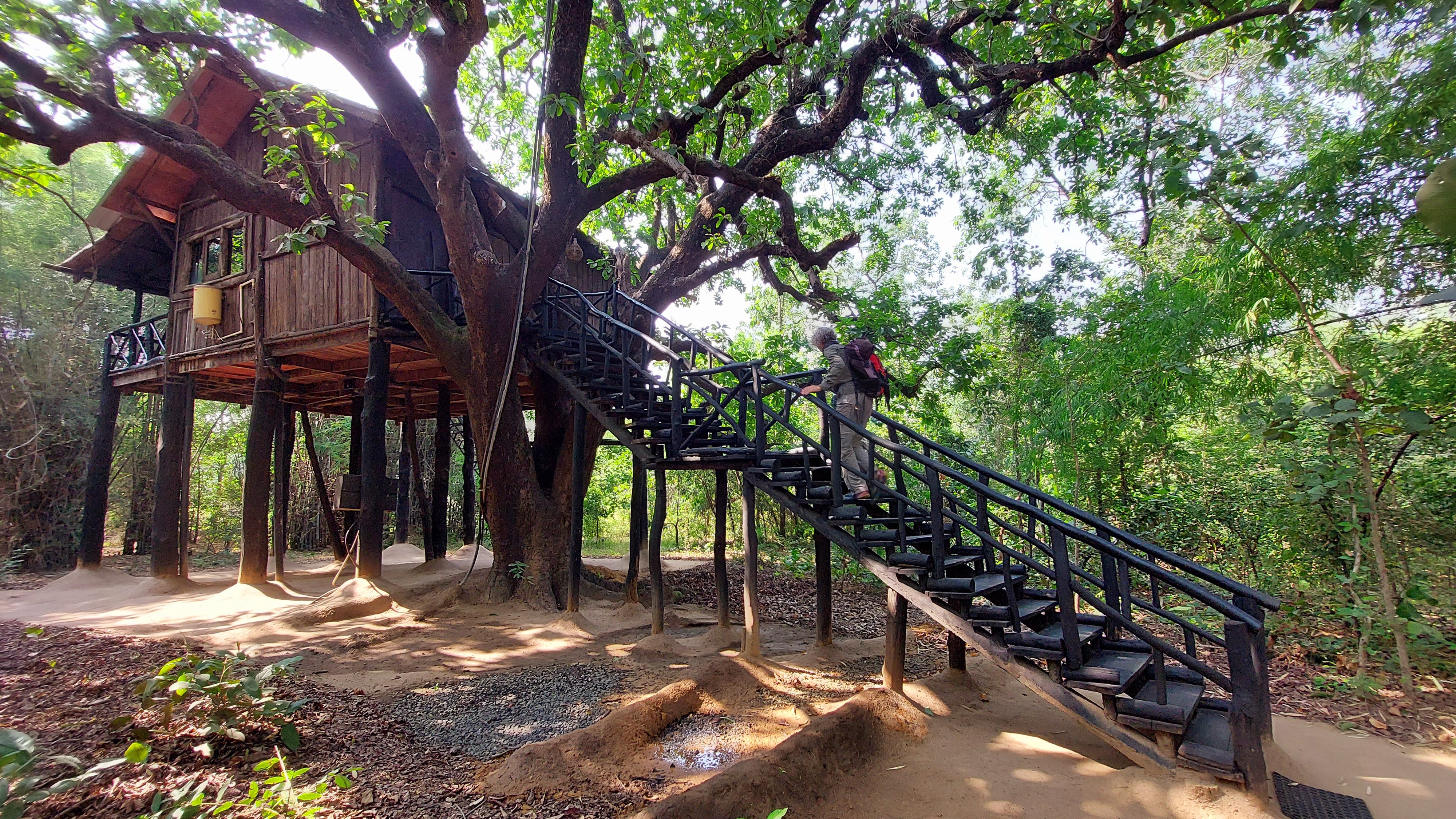 b_india_18nov2023_bandhavgarh.jpg