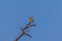 _india_18nov2023_kanha11_small.jpg