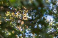 _india_18nov2023_kanha13_small.jpg