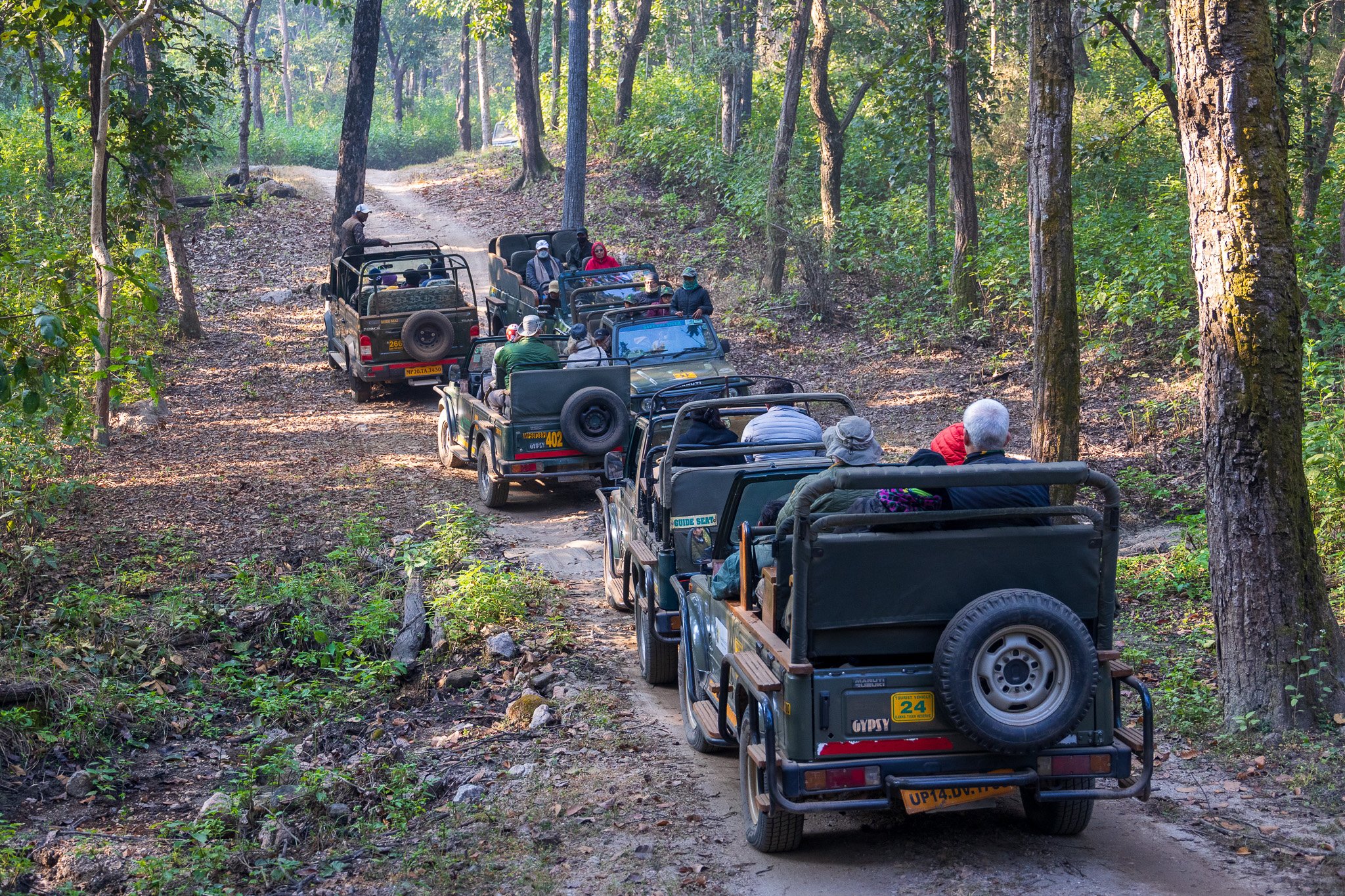 _india_18nov2023_kanha16.jpg