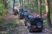_india_18nov2023_kanha16_small.jpg