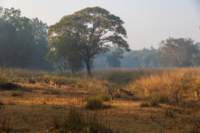 _india_18nov2023_kanha3_small.jpg