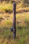 _india_18nov2023_kanha42_small.jpg