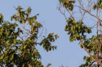 _india_18nov2023_kanha50_small.jpg