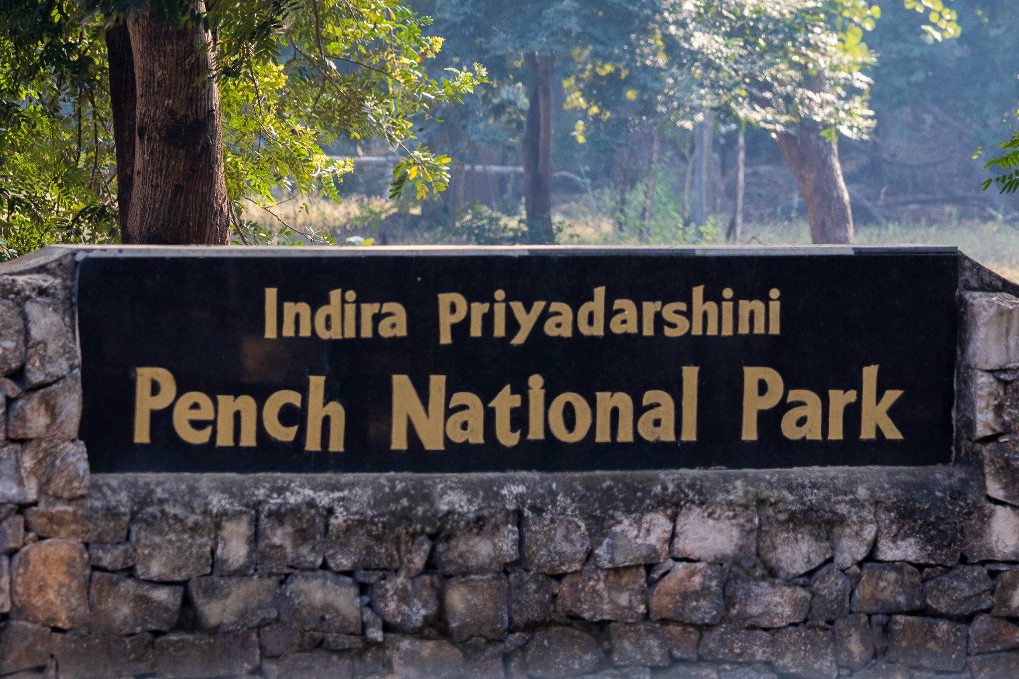 _india_18nov2023_pench10.jpg