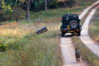 _india_18nov2023_pench17_small.jpg