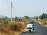 a_india_18nov2023_pench_small.jpg