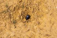 kazaky_3_21apr26_0206_small.jpg