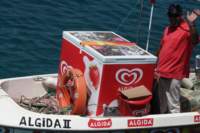 img_6882_small.jpg