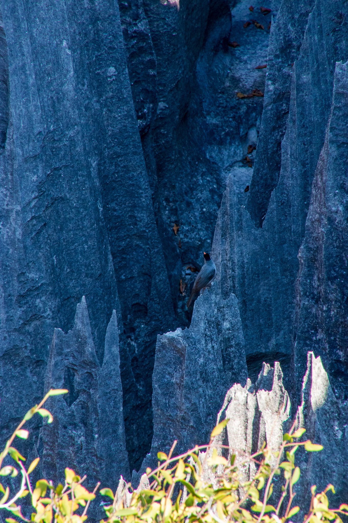 _24lug24_tsingy103.jpg