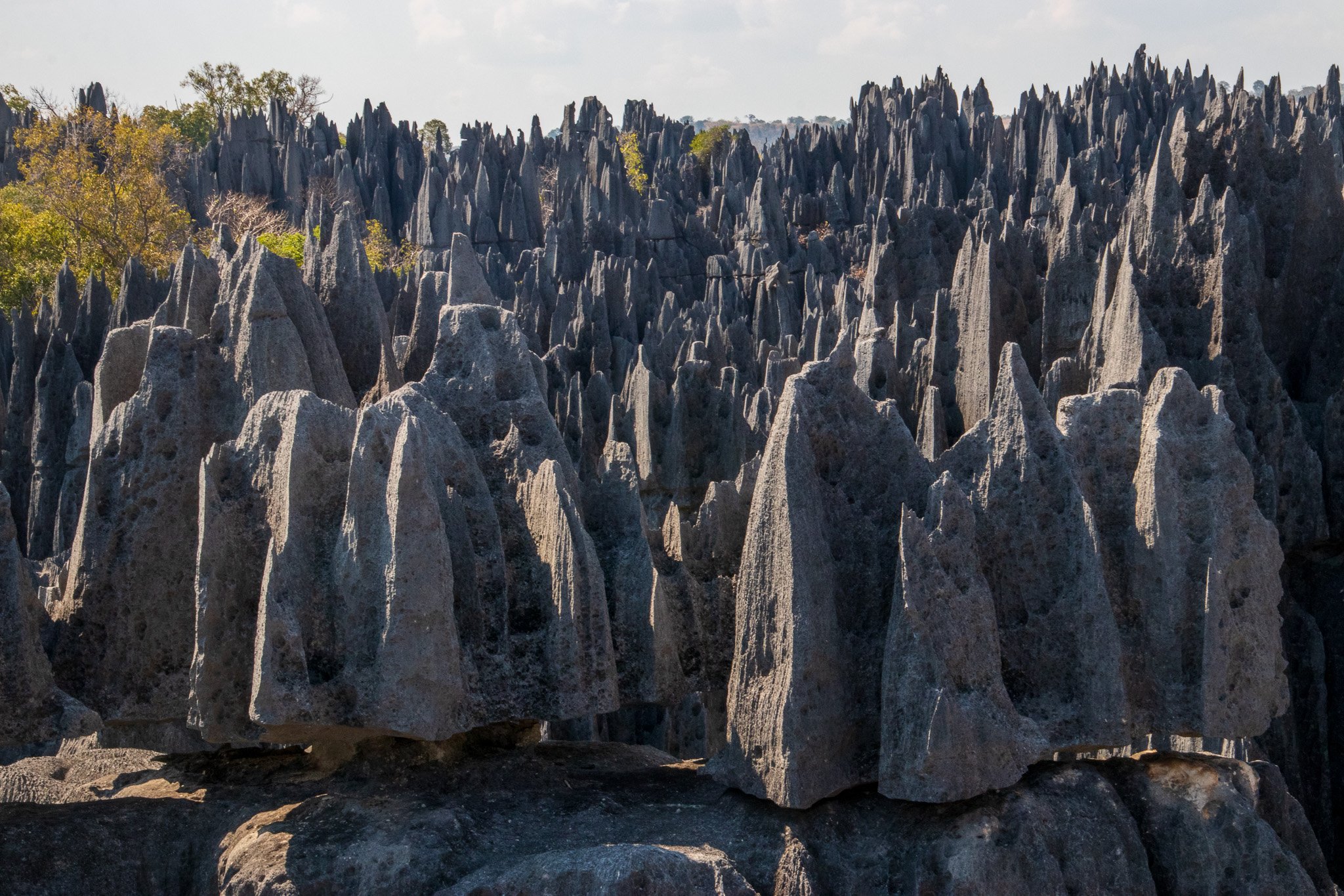 _24lug24_tsingy107.jpg