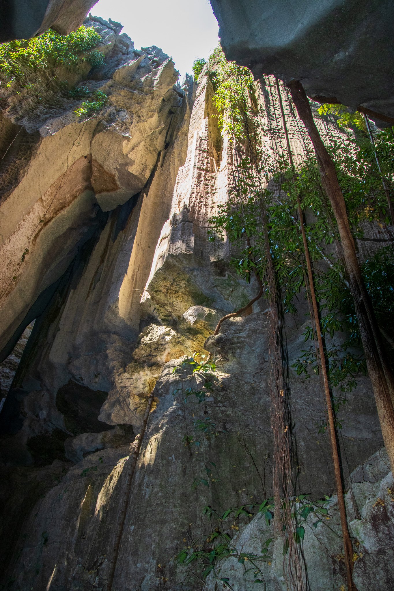 _24lug24_tsingy113.jpg