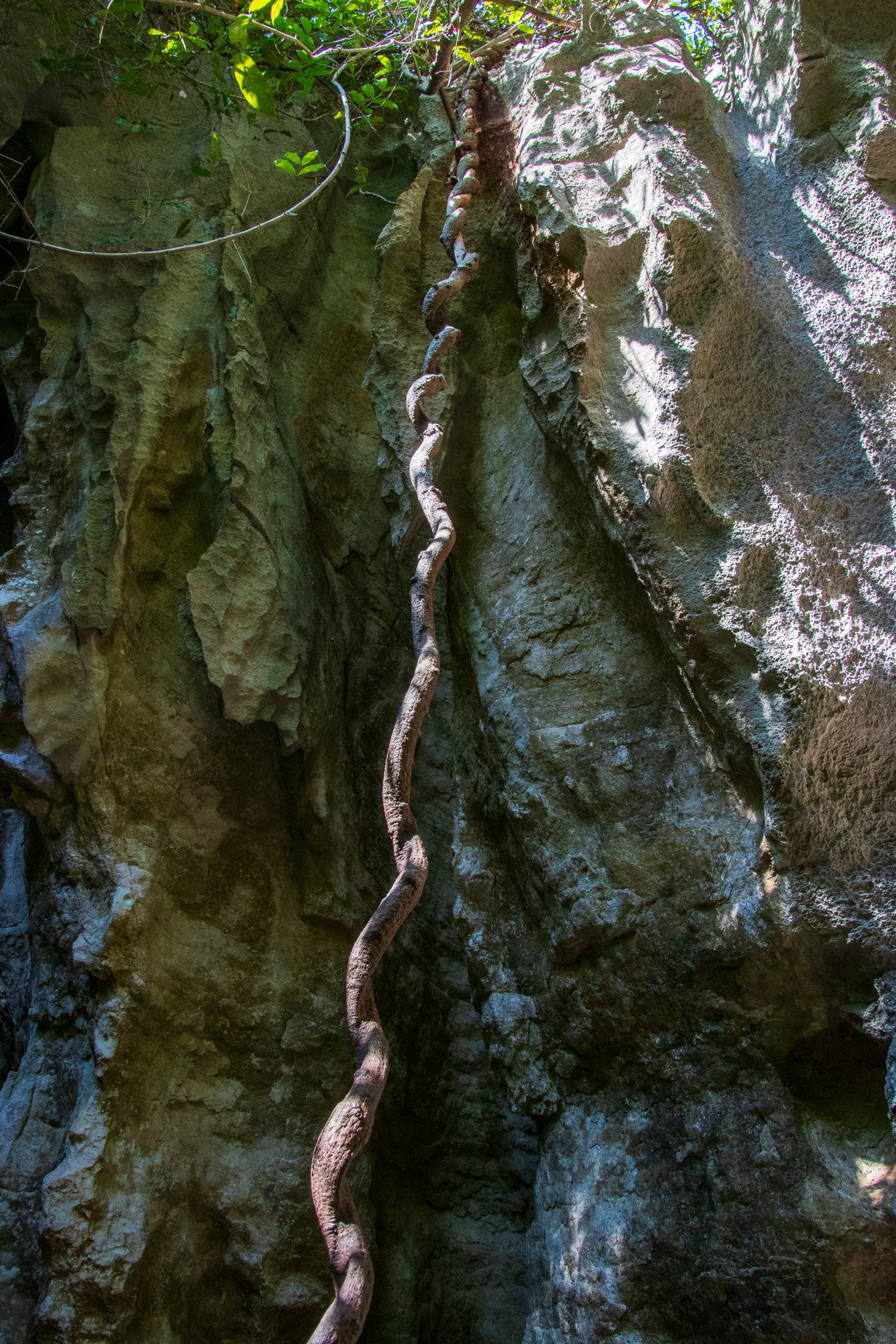 _24lug24_tsingy59.jpg