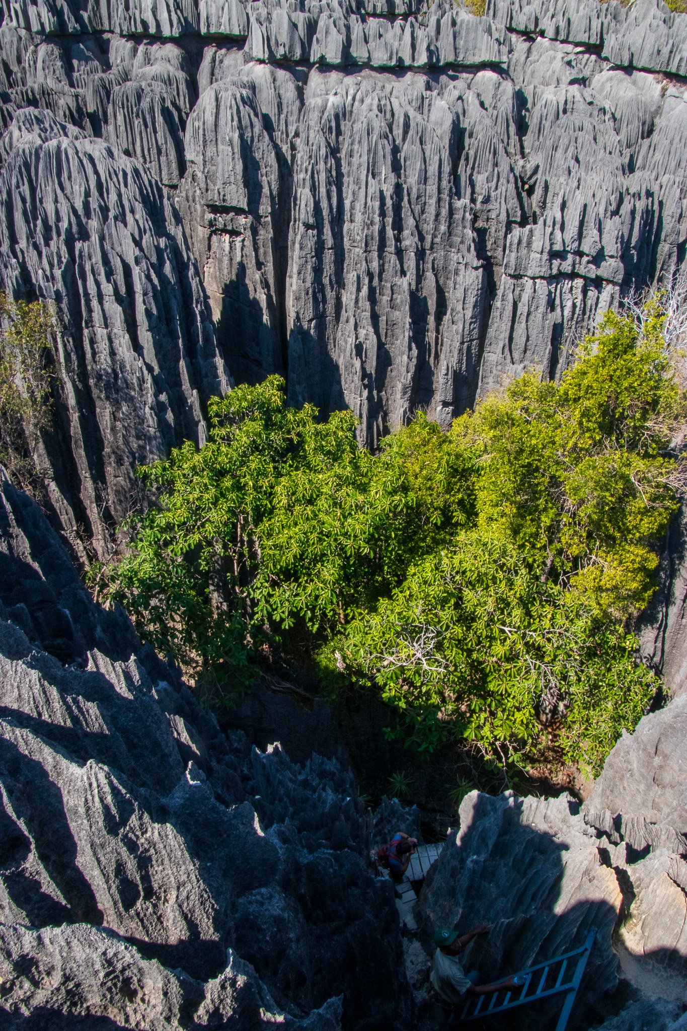 _24lug24_tsingy70.jpg