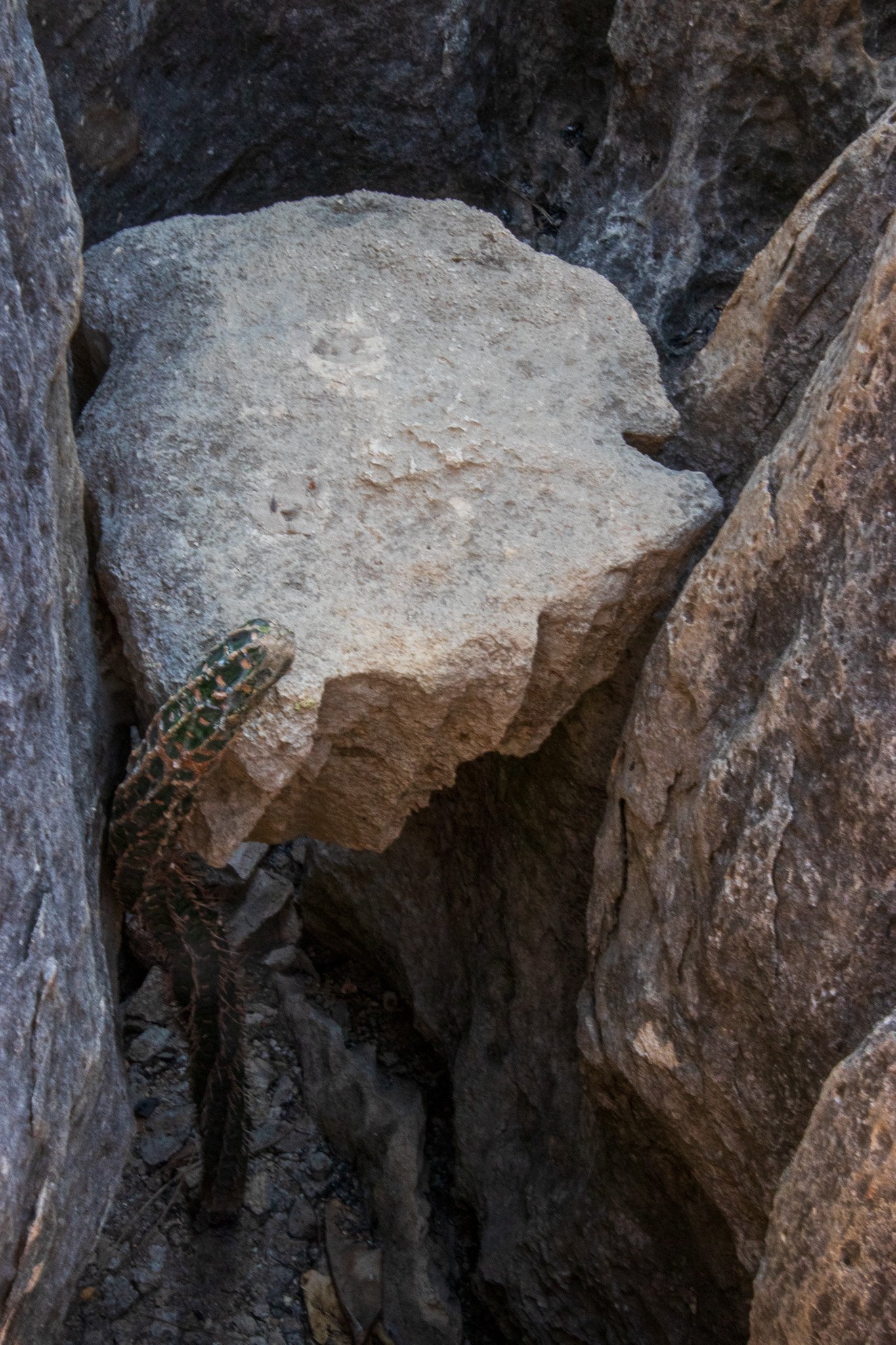 _24lug24_tsingy80.jpg