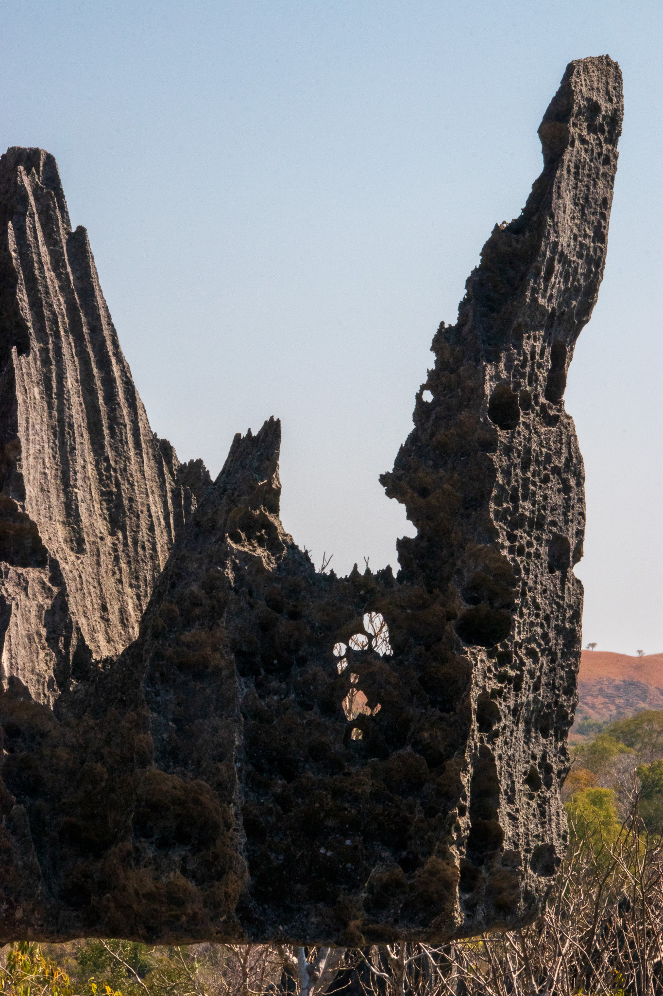 _24lug24_tsingy88.jpg