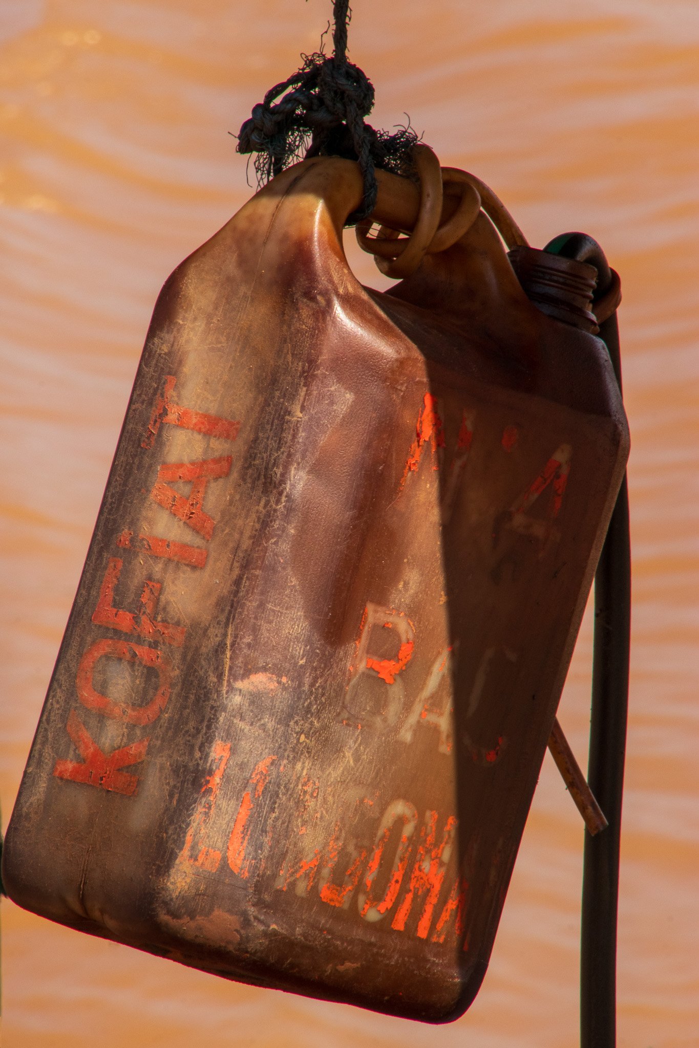 _25lug24_baobab59.jpg