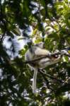 madanord_20ago26_0107_small.jpg