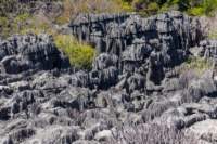 madanord_23ago26_0325_small.jpg