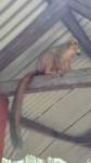madanord_23ago26_0377b_small.jpg