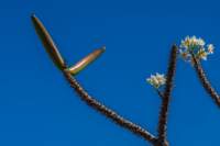 madanord_24ago26_0492_small.jpg