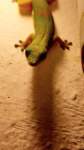 madanord_25ago26_0618d_small.jpg